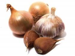onion_garlic4