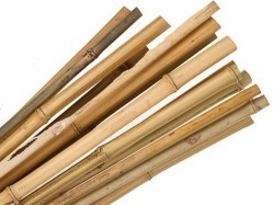 bamboo_canes_a