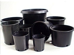 black-nursery-containers