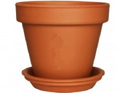 pot