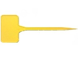 tampelaki_kitrino_15