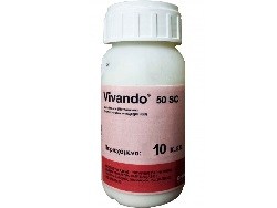 vivando-50-sc-600x600