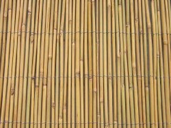 bamboo-fencing