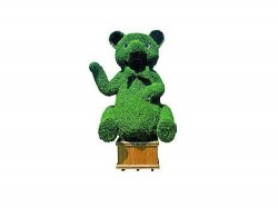 topiary-bear